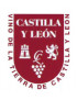 Vins Tierra de Castilla y León
